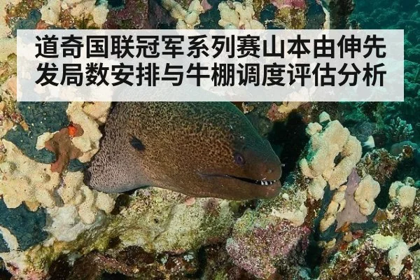 道奇国联冠军系列赛山本由伸先发局数安排与牛棚调度评估分析